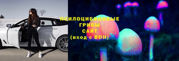 метадон Богданович