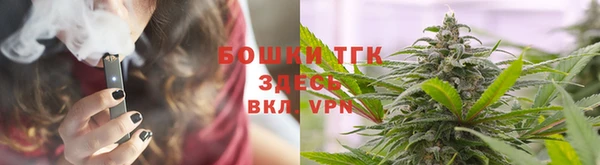 метадон Богданович