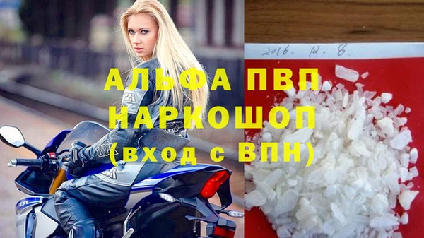 метадон Богданович