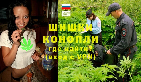 ГАЛЛЮЦИНОГЕННЫЕ ГРИБЫ Осинники