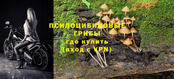 mix Осташков
