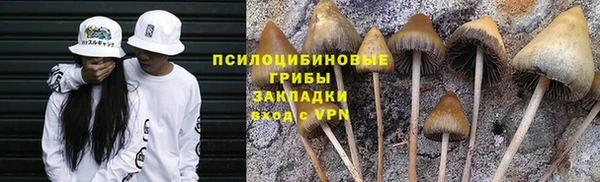 мдпв Остров